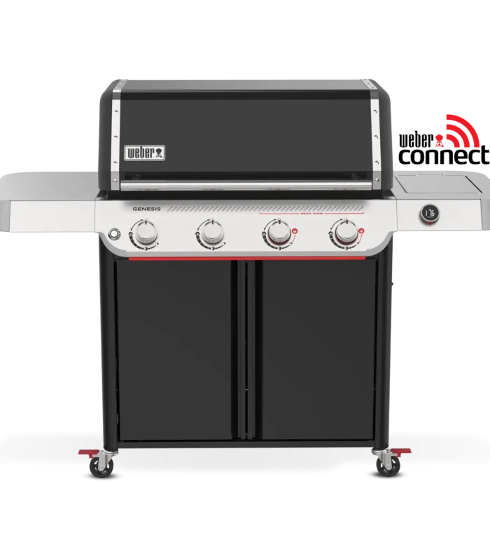 Barbacoa Genesis EX-425