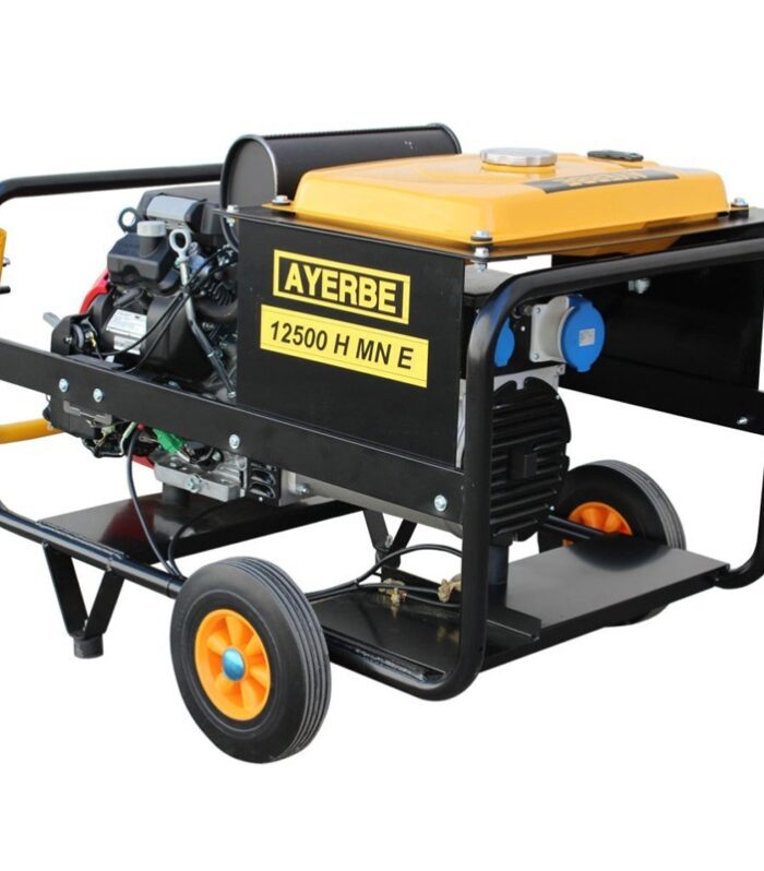 Generador eléctrico monófasico Ayerbe AY 12500 H MN 10000 W