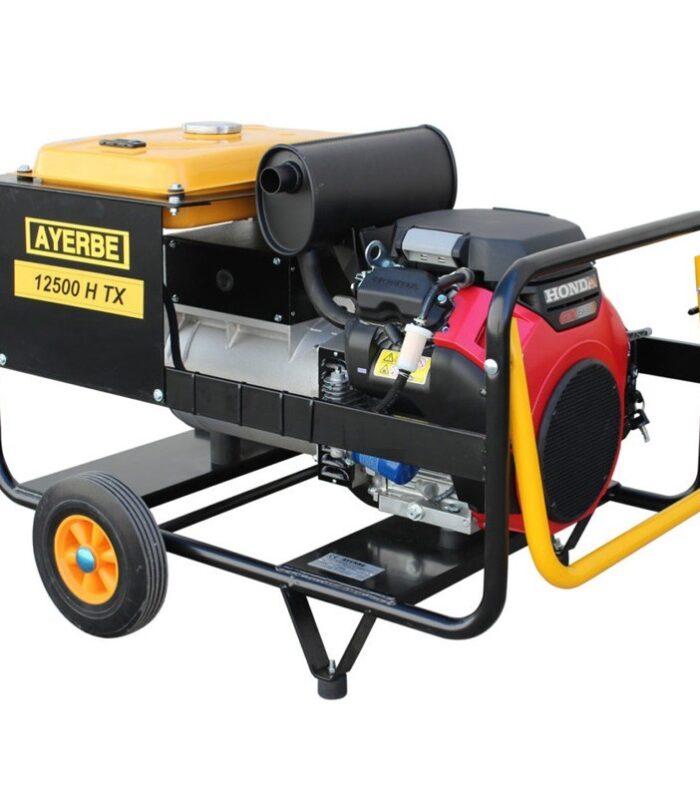 Generador eléctrico gasolina Ayerbe AY 12500 H TX 10000 W