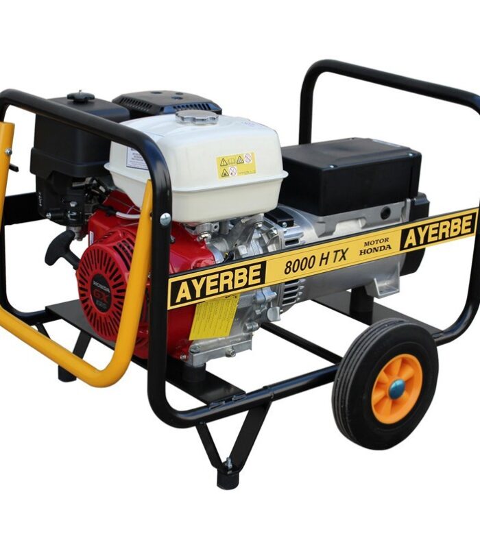 Generador eléctrico trifásico Ayerbe AY 8000 H TX 6400 W