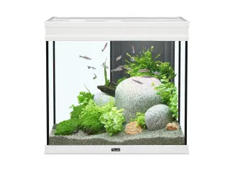 Acquario Elegance Expert 60 LED bianchi - L.61 x P.40,4 x H.55 cm