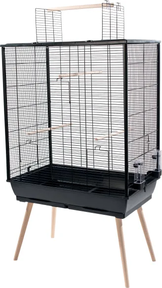 Zolux - Gabbia para uccelli Neo jili negra XL - L.81 x P.48 x H.132 cm