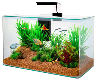 Zolux - Kit Aqua Clear 50 Negro L.25 x P.50 x H.38 cm