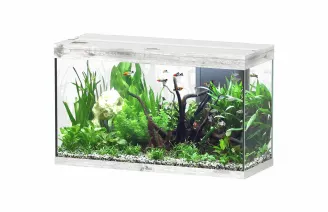 Aquatlantis - SPLENDIDO 100X40X61 LED 2.0 EQP